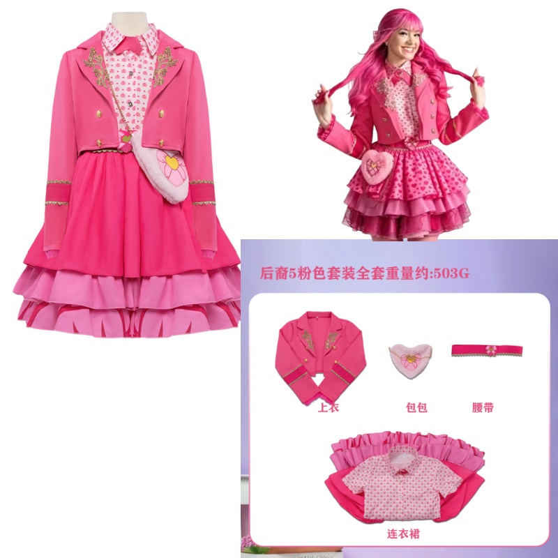 Costume da Principessa Rosa pe - Anime Cosplay Kid recensione e prezzo